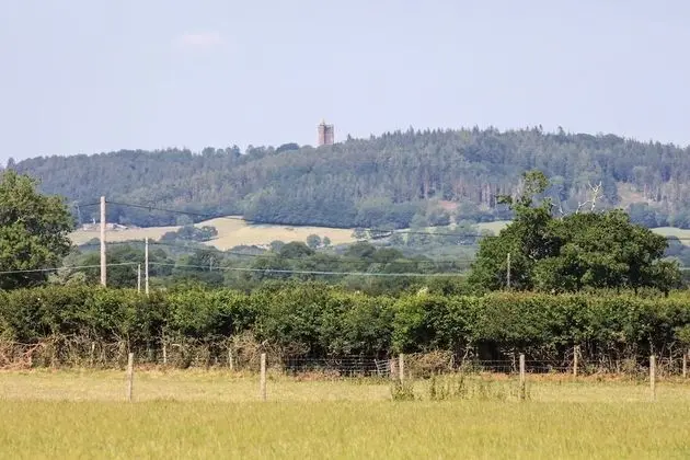 Kulübe, 1 Büyük (Queen) Boy Yatak