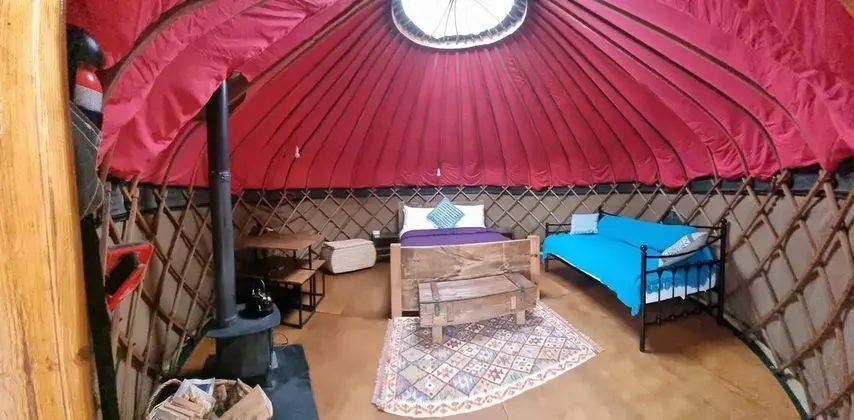 Kulübe, Birden Çok Yatak
