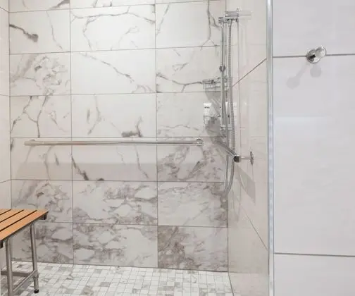 Deluxe Oda, 1 En Büyük (King) Boy Yatak, Engellilere Uygun, Şehir Manzaralı (Roll-In Shower)