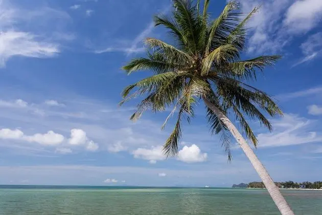 Beachfront Villa 3 Bedrooms