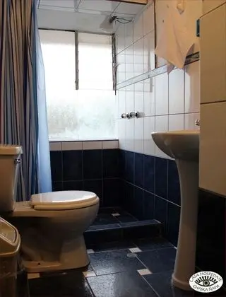 Traditional Tek Büyük Yataklı Oda, Ortak Banyo, Şehir Manzaralı