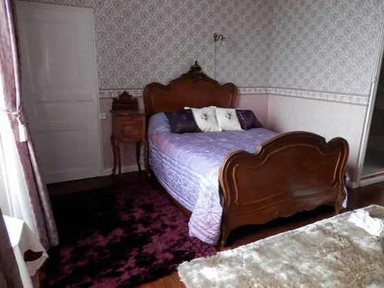 Classic Tek Büyük Yataklı Oda, 1 Çift Kişilik Yatak, Banyolu/Duşlu, Bahçe Manzaralı