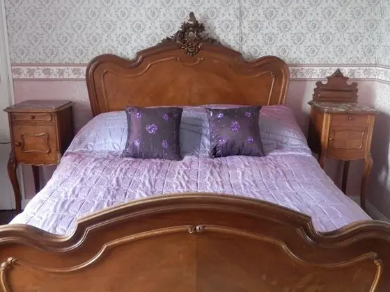Classic Tek Büyük Yataklı Oda, 1 Çift Kişilik Yatak, Banyolu/Duşlu, Bahçe Manzaralı