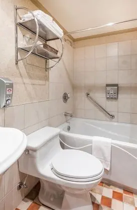 Standard Tek Büyük Yataklı Oda, 1 Çift Kişilik Yatak