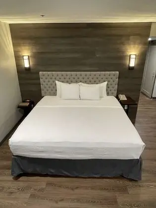 Premium Stüdyo Süit, 1 En Büyük (King) Boy Yatak ve Çekyat