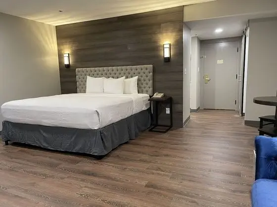 Premium Stüdyo Süit, 1 En Büyük (King) Boy Yatak ve Çekyat
