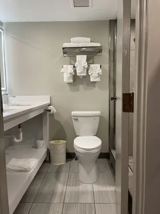 Premium Stüdyo Süit, 1 En Büyük (King) Boy Yatak ve Çekyat