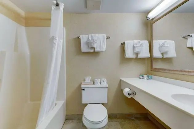 Superior Çatı Katı (Loft), 1 En Büyük (King) Boy Yatak ve Çekyat