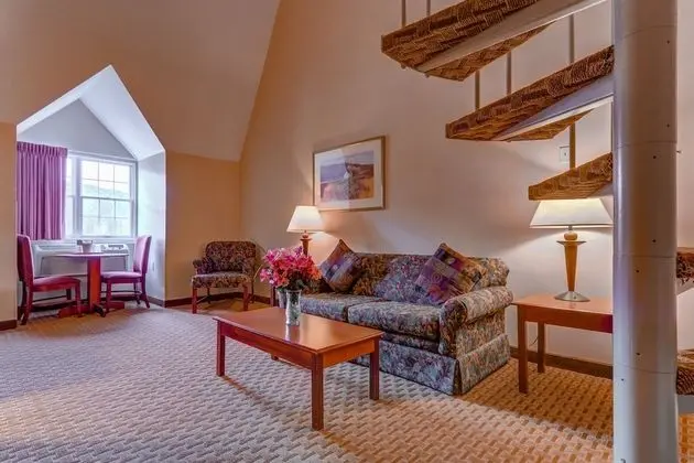 Superior Çatı Katı (Loft), 1 En Büyük (King) Boy Yatak ve Çekyat