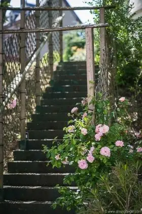 Villa, Birden Çok Yatak Odası