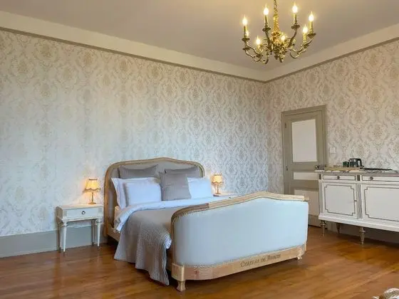 Standard Tek Büyük Yataklı Oda, Bahçe Manzaralı