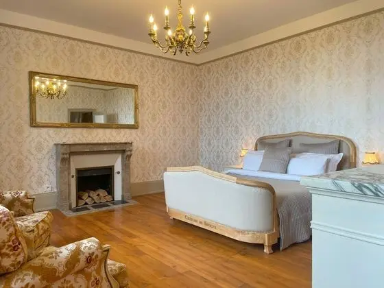 Standard Tek Büyük Yataklı Oda, Bahçe Manzaralı