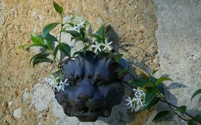 Süit (Pavillon De France)