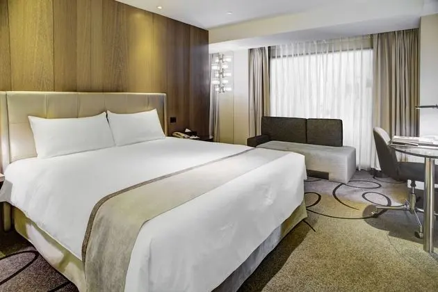 Deluxe Tek Büyük Yataklı Oda