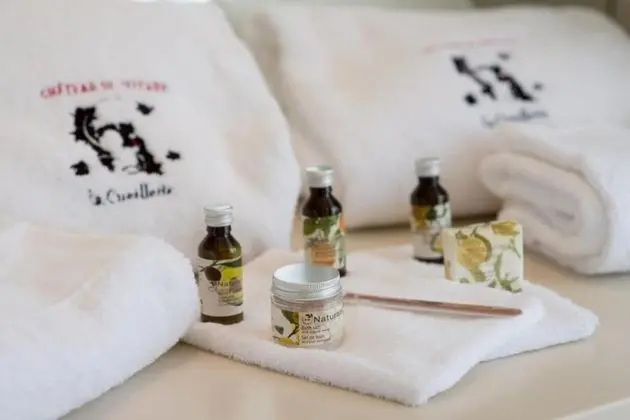 Classic Oda, Engellilere Uygun, Üzüm Asması Manzaralı