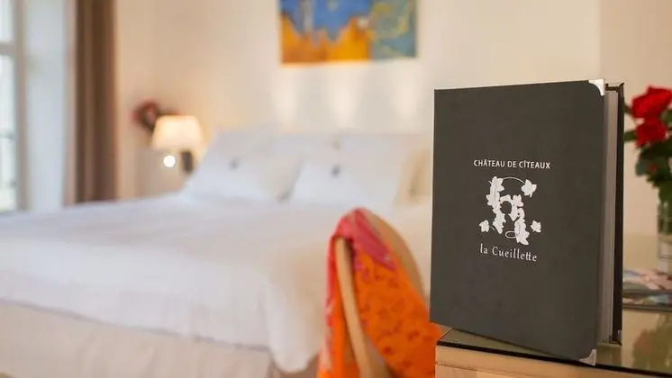 Superior Oda, Üzüm Asması Manzaralı