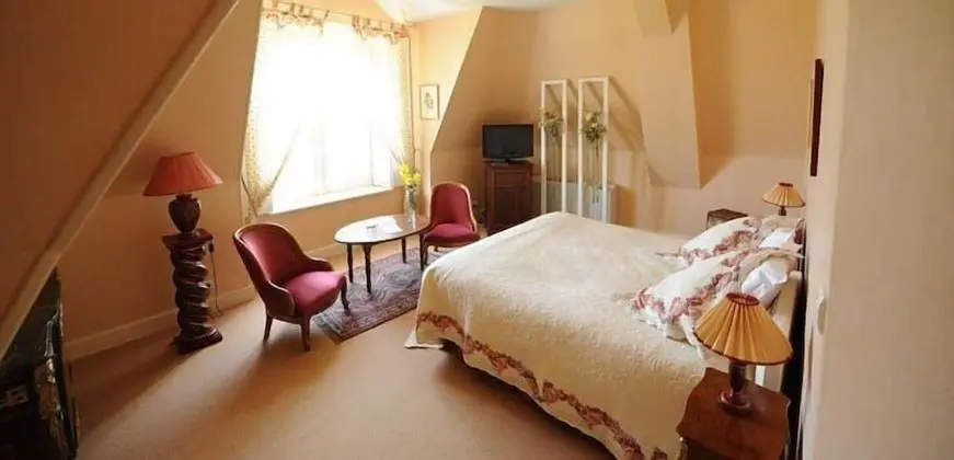 Superior Tek Büyük Yataklı Oda