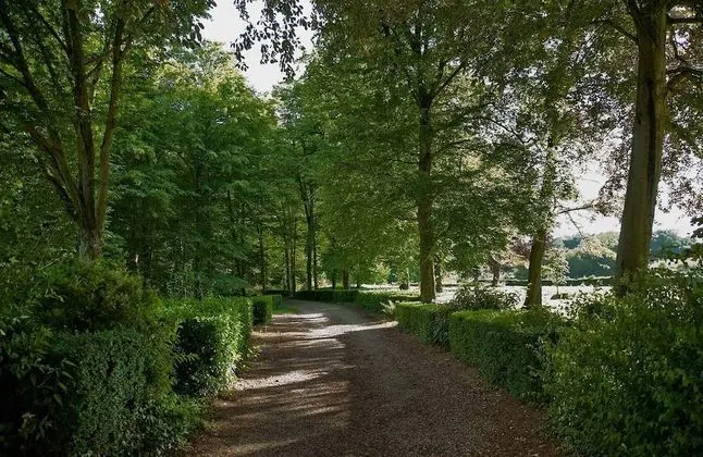 Exclusive Apart Daire, Banyolu/Duşlu, Park Manzaralı (Château)
