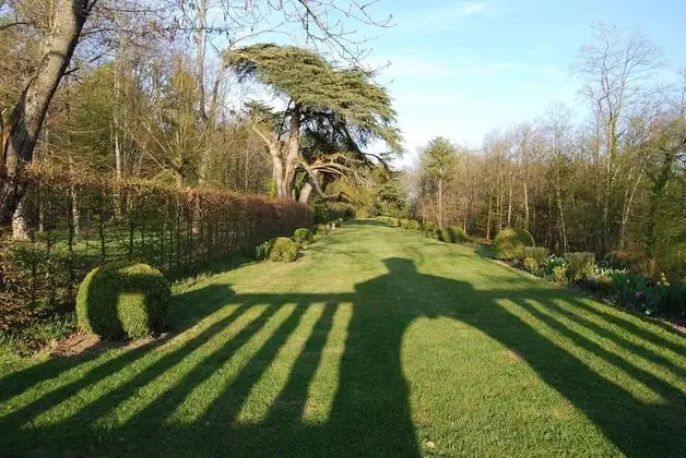 Luxury Tek Büyük Yataklı Oda