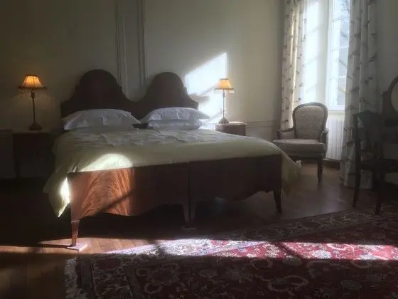 Deluxe Tek Büyük Yataklı Oda (Brocéliande)