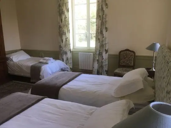 Panoramic Tek Büyük Yataklı Oda (Hortensia)