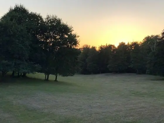 Deluxe Tek Büyük Yataklı Oda (Turner)