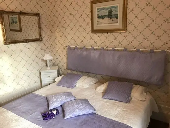 Business Tek Büyük Yataklı Oda, Havuz Manzaralı (Dalhia)