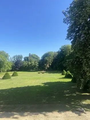 Royal Süit