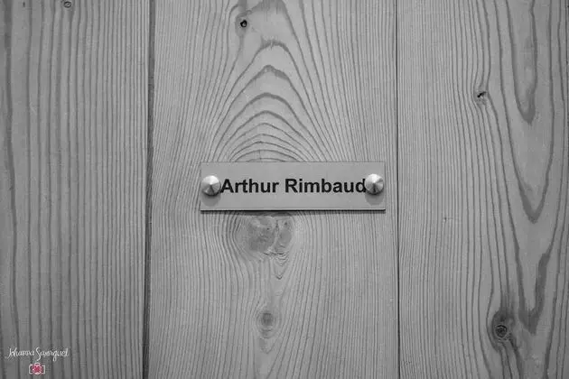 Deluxe Tek Büyük Yataklı Oda (Arthur Rimbaud)