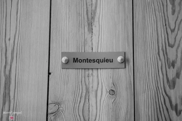 Deluxe Tek Büyük Yataklı Oda (Montesquieu)