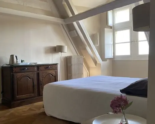 Superior Tek Büyük Yataklı Oda (Château)