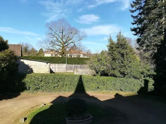 Classic Tek Büyük Yataklı Oda, Avlu Manzaralı (Chambre Lion )