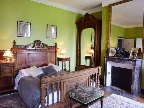 Premium Tek Büyük Yataklı Oda, Banyolu/Duşlu, Bahçe Manzaralı