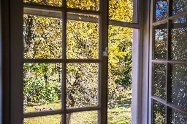 Superior Tek Büyük Yataklı Oda, 1 En Büyük (King) Boy Yatak, Özel Banyo, Bahçeli