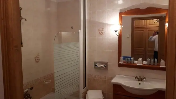 Superior Tek Büyük Yataklı Oda, Park Manzaralı