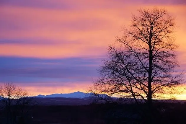 Junior Oda (Ecrivain)