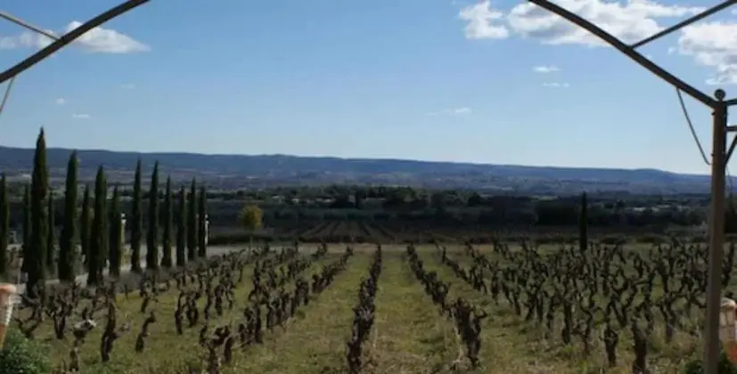 Superior Tek Büyük Yataklı Oda, Teras, Üzüm Asması Manzaralı