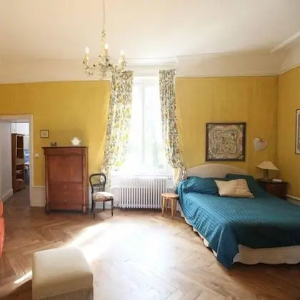 Comfort Tek Büyük Yataklı Oda, Sigara İçilmez (Jaune)