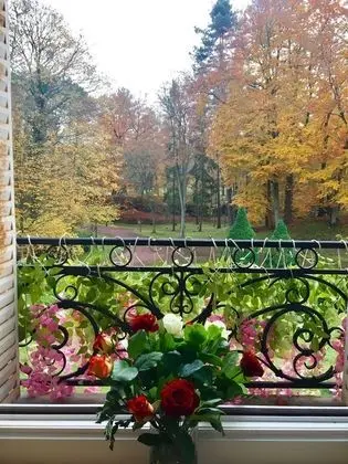 Honeymoon Tek Büyük Yataklı Oda, 1 En Büyük (King) Boy Yatak, Balkon, Bahçeli