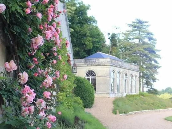 Comfort Tek Büyük Yataklı Oda, Banyolu/Duşlu, Park Manzaralı (Chambre Pivoine)