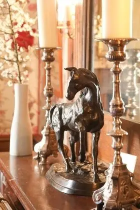 Comfort Tek Büyük Yataklı Oda, Banyolu/Duşlu, Park Manzaralı (Chambre Pivoine)