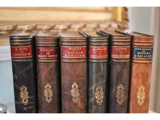 Deluxe Süit, Banyolu/Duşlu, Park Manzaralı (Chambre du Parc)