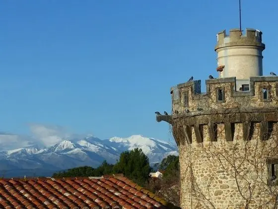 Tek Büyük Yataklı Oda, Özel Banyo (Picasso)