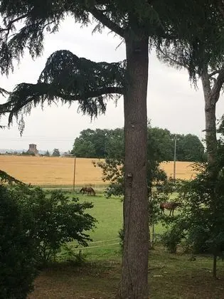 Deluxe Süit (L'Amazone)