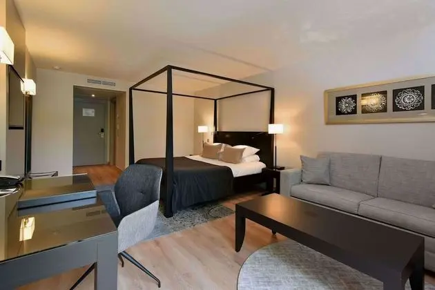 Executive Tek Büyük Yataklı Oda, Göl Manzaralı, Göl Kenarı