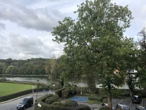 Executive Tek Büyük Yataklı Oda, Göl Manzaralı, Göl Kenarı