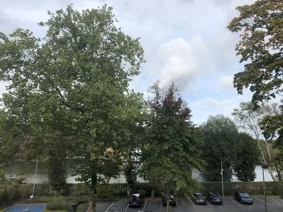 Executive Tek Büyük Yataklı Oda, Göl Manzaralı, Göl Kenarı