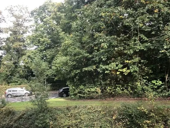 Superior Tek Büyük veya İki Ayrı Yataklı Oda, Küvet