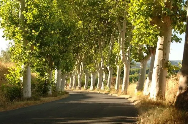 Standard Süit, Birden Çok Yatak (17 - Ecurie apartment)