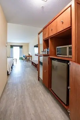 Deluxe Oda, 1 En Büyük (King) Boy Yatak, Balkon, Park Manzaralı (Premium King, Balcony)